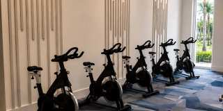 Velo Gallery 5