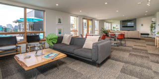 The Chloe Apartments Gallery 34