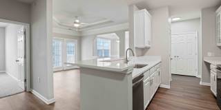 Lake Clearwater Gallery 54