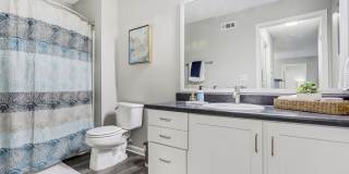 The Laurel Apartments Gallery 31