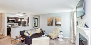 Palmetto Place Palmetto Place Gallery 12