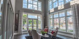 Proximity Northlake Gallery 8