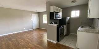 Newport Apartments Gallery 10