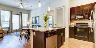 District at Medical Center Gallery 12