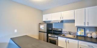 The Zimmer Gallery 1