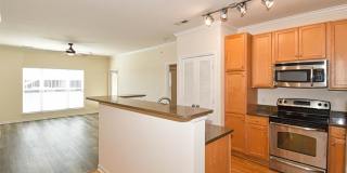 1270 Strassner Drive Gallery 6