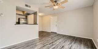 Rise Spring Pointe Gallery 87