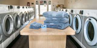 Imperial Palms Gallery 41