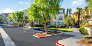Paseos At Magnolia Luxury Apartment Homes Gallery 107