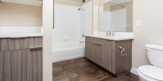 SOMA at 788 Gallery 12