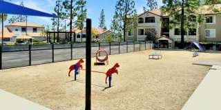 Sierra Del Oro Apartments Gallery 22