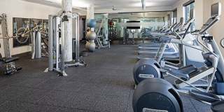 The Addison Apartments Gallery 7