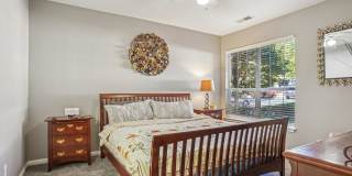 Bridford Lake Gallery 18
