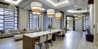 Sofia Coral Gables Gallery 14