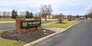 Harvest at Kokomo Gallery 10