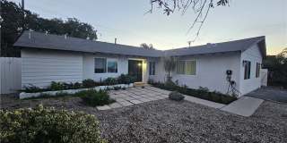 324 E Citron Street Gallery 1