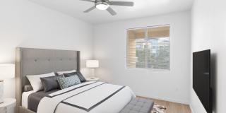 Vistara at SanTan Village Gallery 1