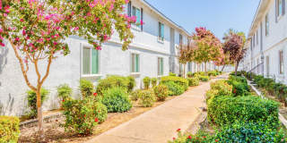 Arbor Collection Gallery 6