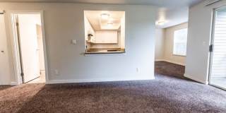 The Lucent Gallery 6