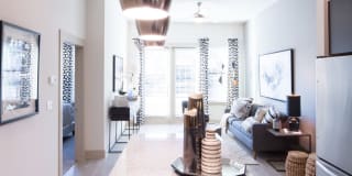 Magnolia on Zang Gallery 2