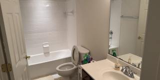 42485 Meadow Sage Dr Gallery 12