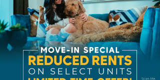 Maverick Gallery 243