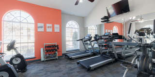 Pirates Landing Gallery 28