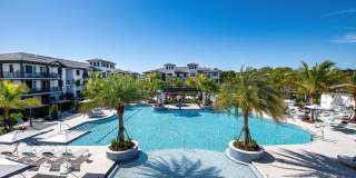 Town Hollywood Gallery 1