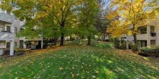 Peaks on Pines Gallery 25