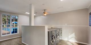 Timber at the Bay Gallery 23