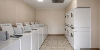 Marsh Cove & Somerset Gallery 8