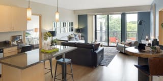 The Ellipse on Excelsior Gallery 5