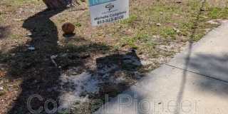 5828 3rd St E Gallery 2