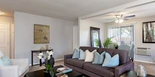 The Casas Gallery 25