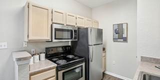 Sole at Citrus Park Gallery 5