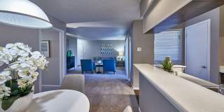 Custer Park Gallery 3