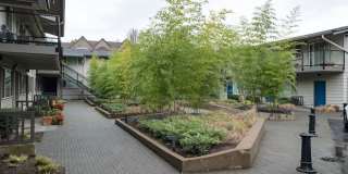Uptown Lake Oswego Gallery 62