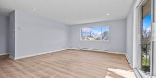 98 Carlton Street Gallery 3