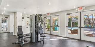 Venicia Gallery 13