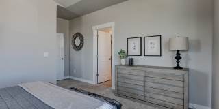 Mangold831 (KC-LN) Gallery 43