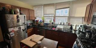 HUGE FOUR BED IN SOMERVILLE!!!!!!!! Gallery 16