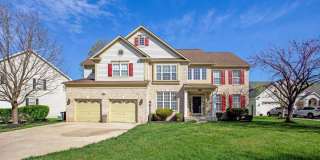 12902 CRICKMORE Trace Gallery 1