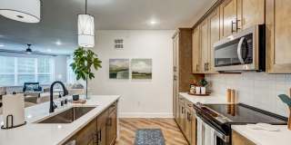Asher Towne Lake Gallery 14