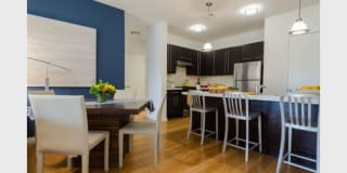 Parallel 41 Gallery 1