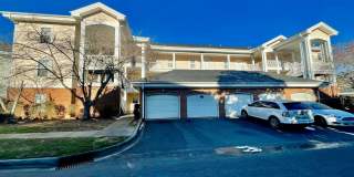 MeadowVista9041 Gallery 1