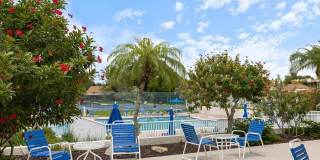 880 BIRD BAY DRIVE Gallery 28