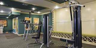 Aqua at Millenia Gallery 17