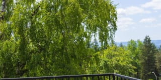 Elevation at Mountain Park Gallery 28