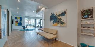 Vue Live Oak Gallery 16