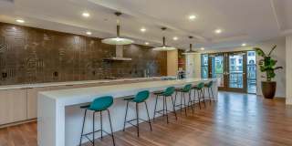 Vineyards Gallery 38